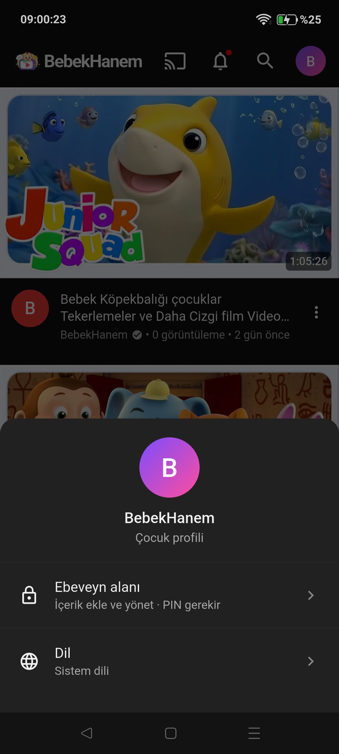 BebekHanem PIN korumalı ebeveyn alanı geçiş ekranı